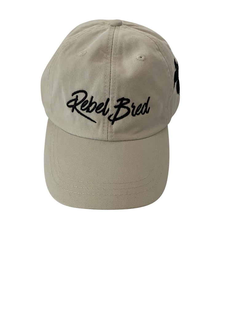 urban streetwear brand, dad hat with embroidered logo