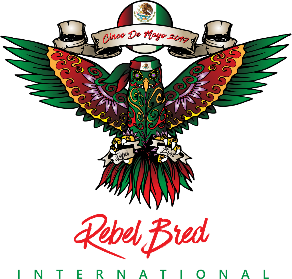 Cinco De Mayo Rebel Bred International 2019